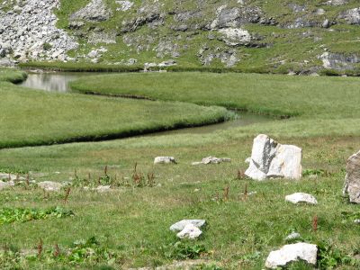Cliquez pour voir l'image en taille réelle