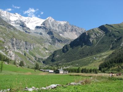 Cliquez pour voir l'image en taille réelle